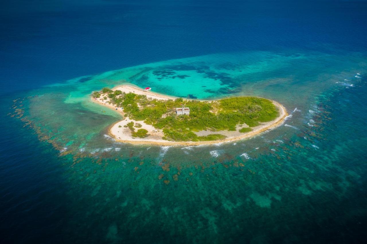 Oasis In The South Of The Island With Free Parking And Laundry Daire Ponce Dış mekan fotoğraf
